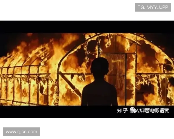 最后的疯狂:那些燃烧着生命的热血诗篇